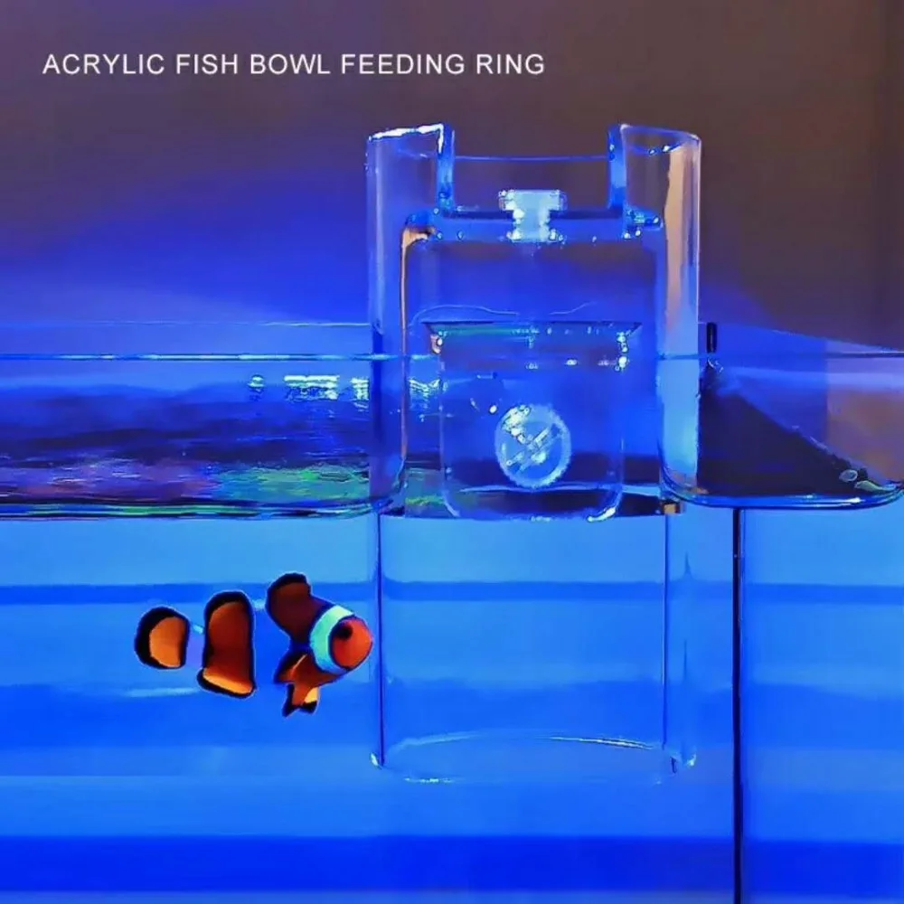

Fish tank Arcylic feeder ring aquarium tropical fish fresh reef lacing tank hang on holder