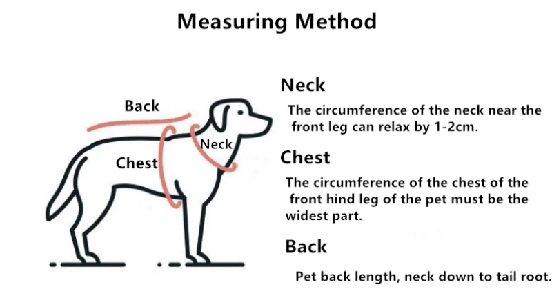 how to check size for dog