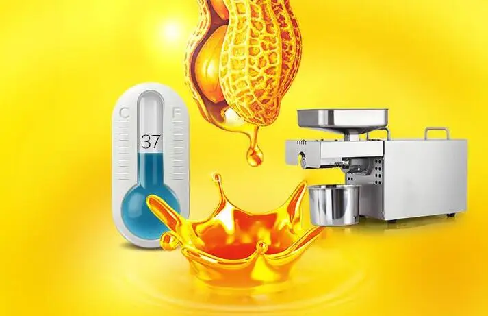 Soybean oil press household presser (9)