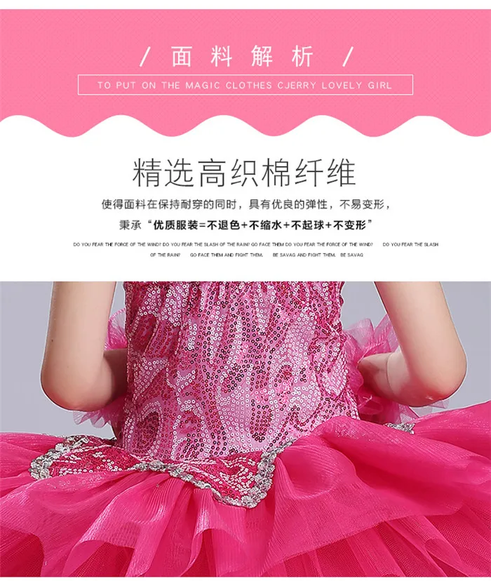ballet tutu (2)