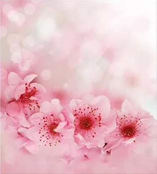 

Blur Bokeh Pink Spring Flower Floral Backgrounds for sale Vinyl cloth High quality Computer printed wall backdrop