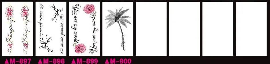 36020190319194906004