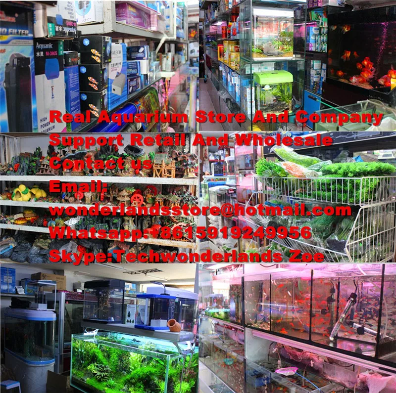 HTB1yvUxLpXXXXarXVXXq6xXFXXXp