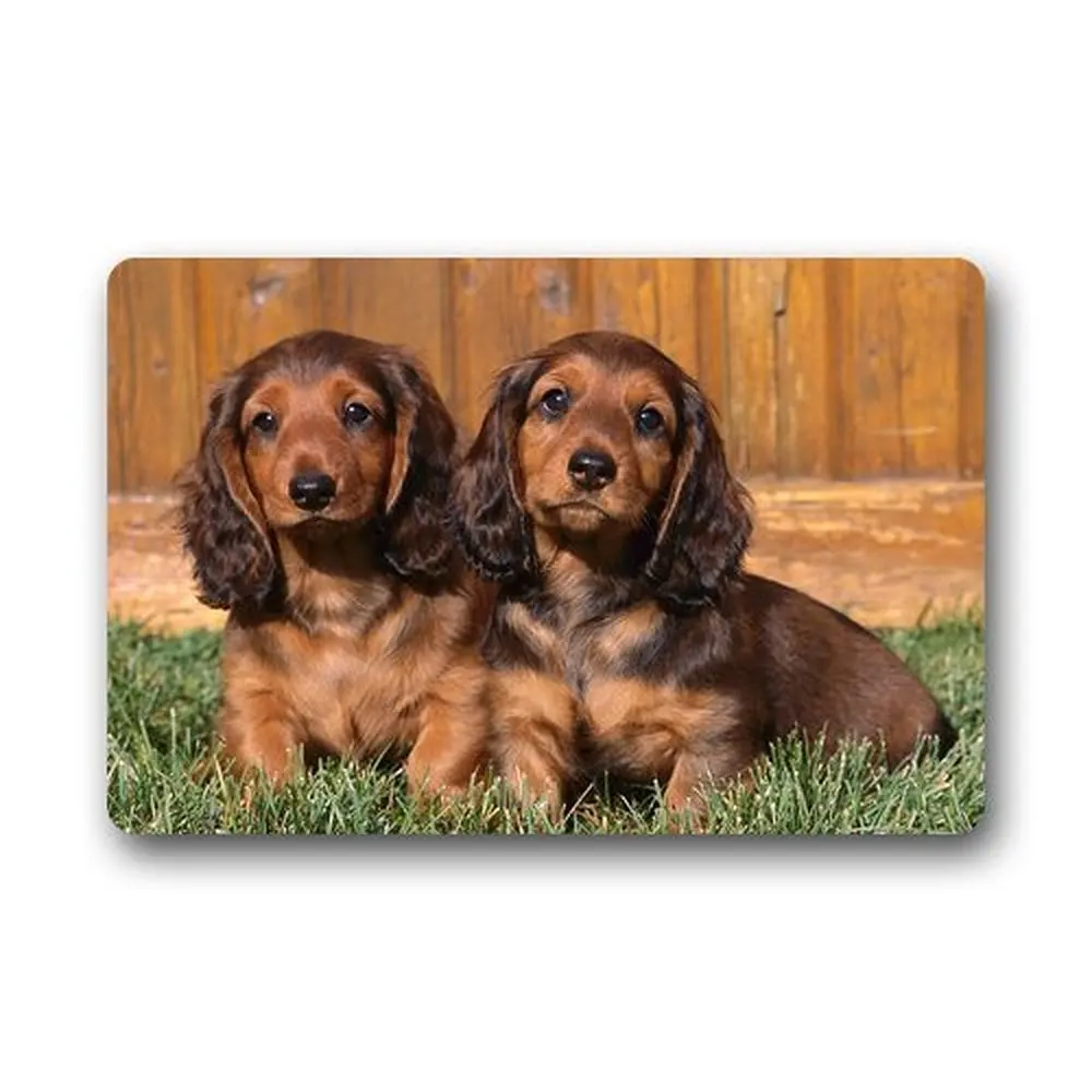 Outdoor Dog House For 2 Dogs Noten Animals Get Dog Bathroom Mat Aliexpress Alibaba Group