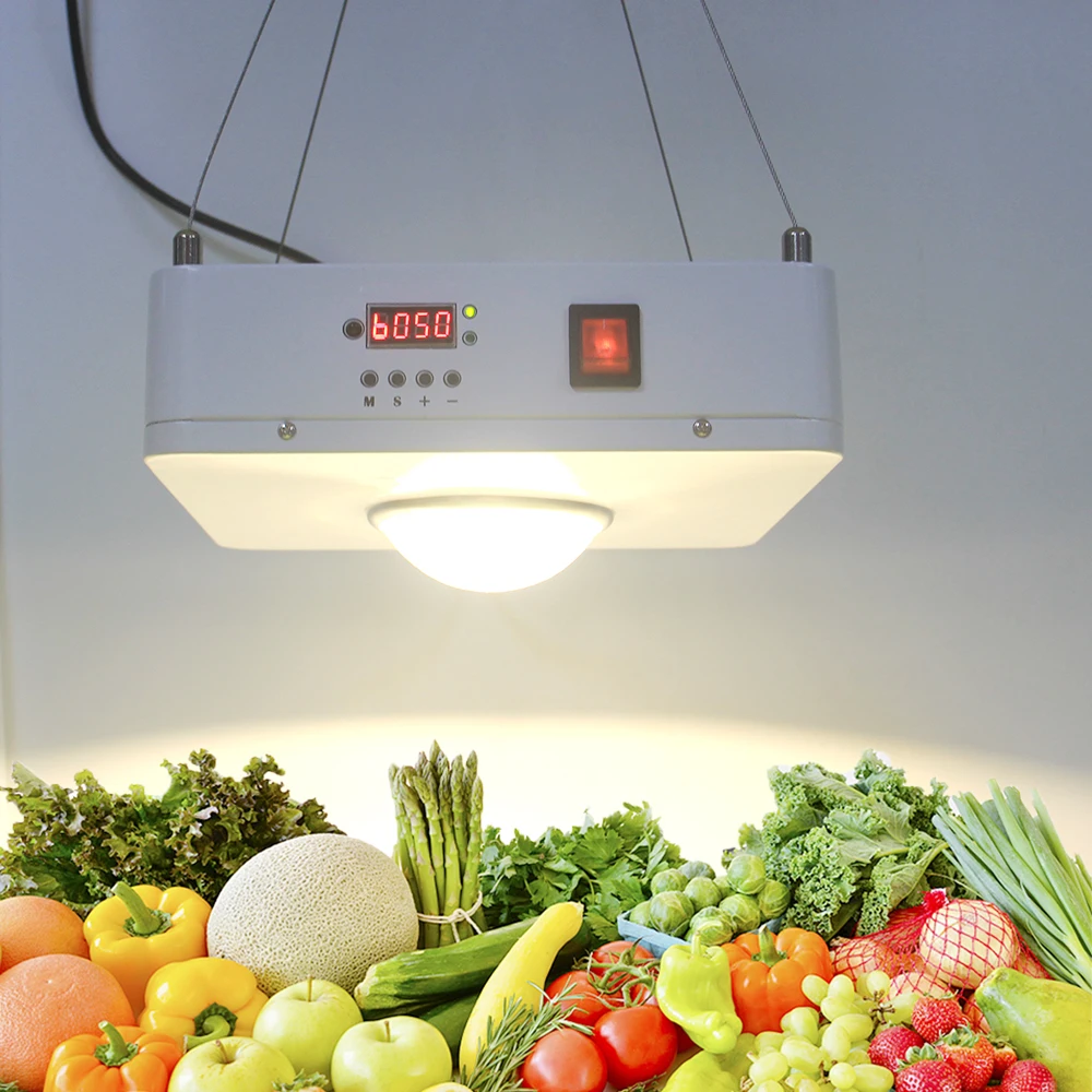 

CREE CXB3590 100W COB LED Grow Light Full Spectrum 24 hours cycle timer LED Growing Lamp For Indoor Plant Growth Lighting