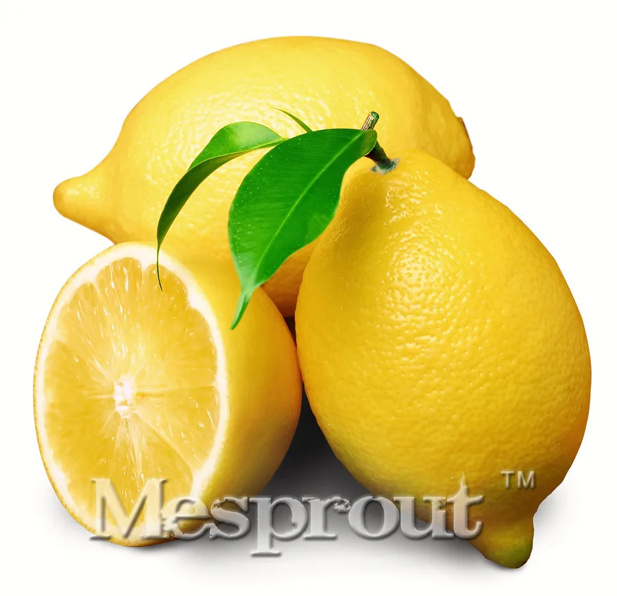 

Hot sale!!30 PCS Lemon Tree Bonsai High Survival Rate Bonsai Fruit Plant For Indoor Plants Home Gatden Bonsai Lemon Bonsai