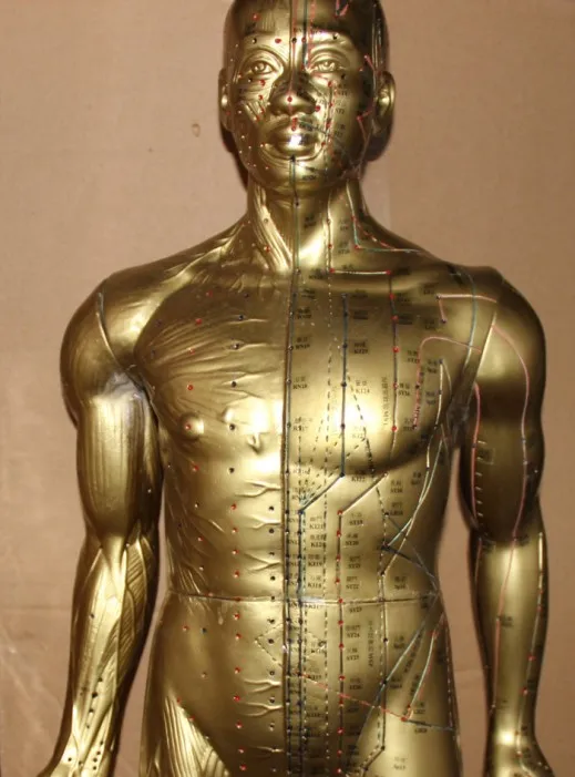 

85cm Copper - plated human body meridian model