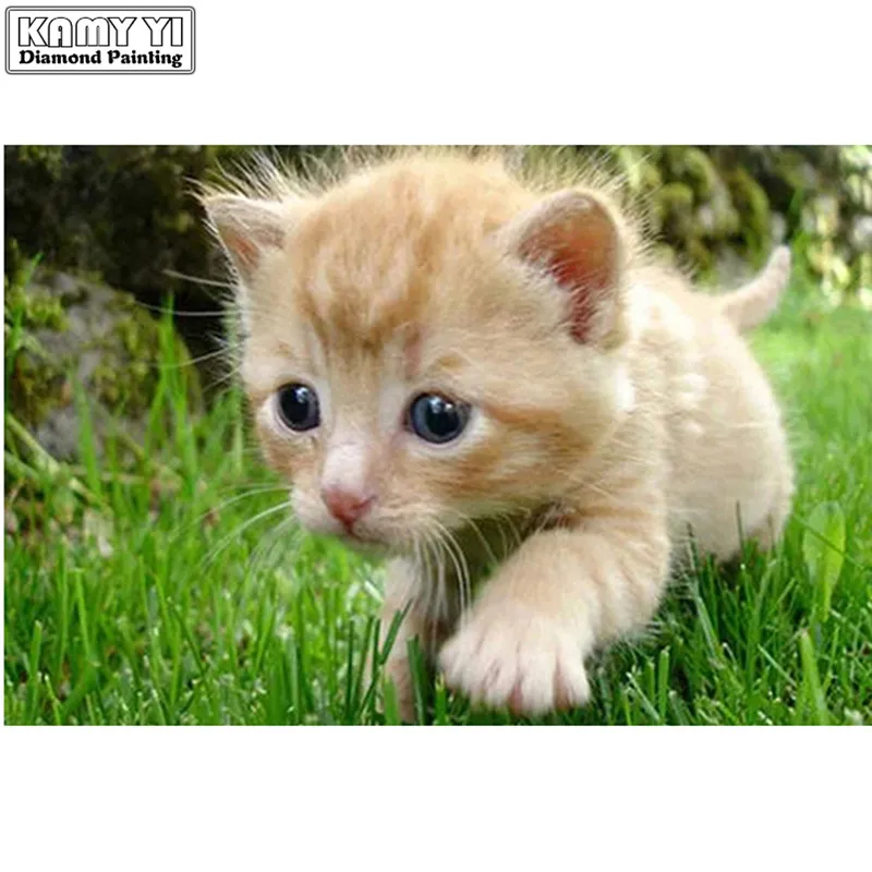 Diamond Embroidery Kitten pill Mosaic Painting Square&ampRound Picture Rhinestone Sale Home Decoration LWR | Дом и сад