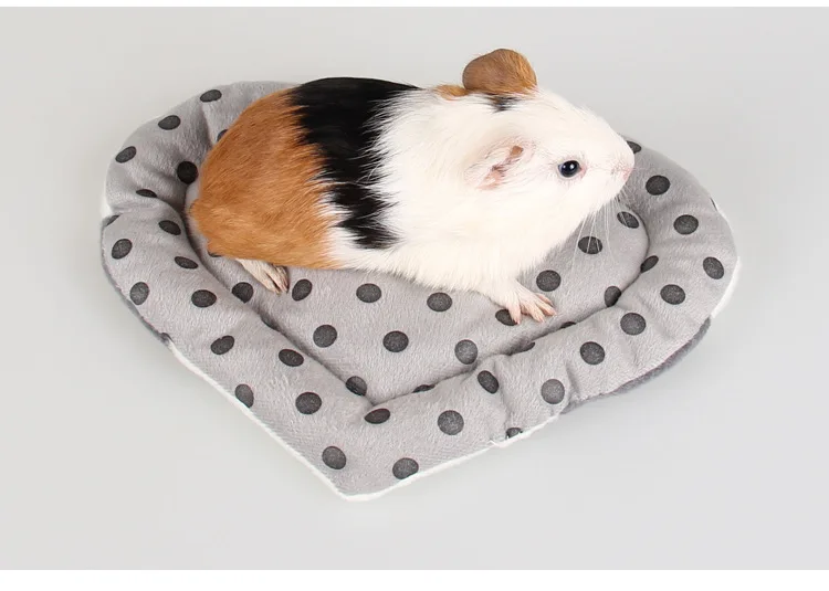 2811715522_1798973395