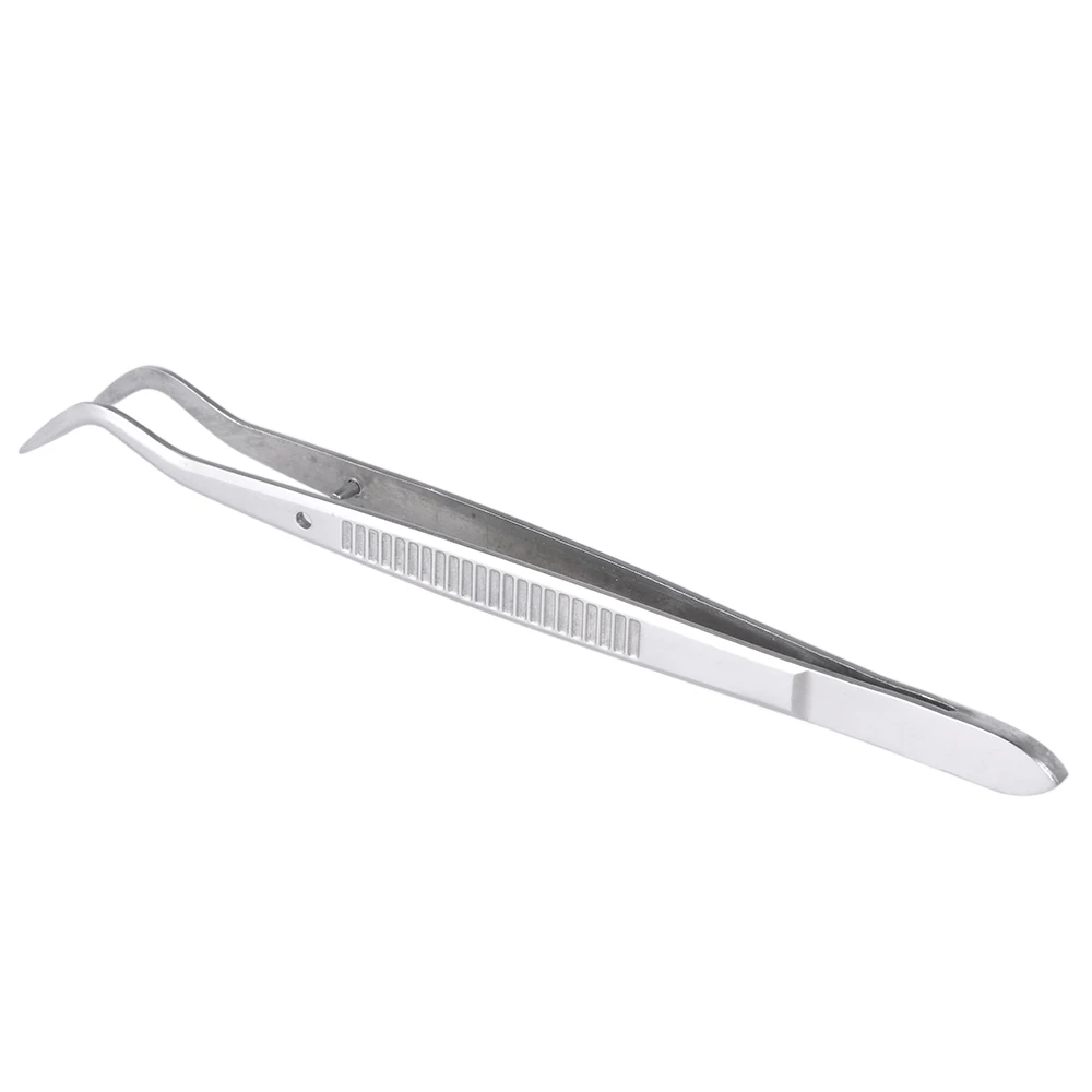 Cuspidal Dental Forcep for Teeth Care Stainless Steel Dentistry