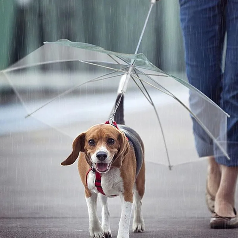 Прозрачный Собака Зонт с поводок pet открытый непромокаемые Поставки Собака Ведущий для маленький средний Диаметр 30 дюйм(ов