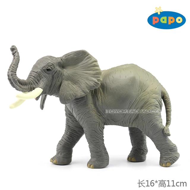 Download 64+ Gambar Gajah Asia Paling Bagus Gratis