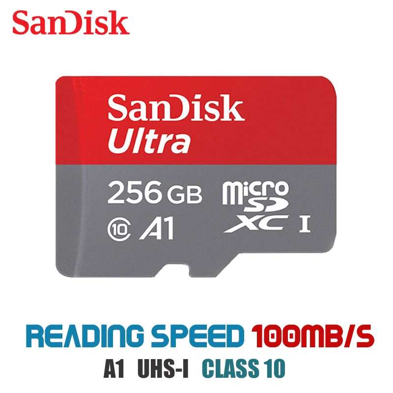 Оригинальная карта micro sd sandisk 16 ГБ 32 ГБ 64 ГБ 200 ГБ карта памяти micro sd 128 ГБ 256 Гб класс 10 - Емкость: A1 256G