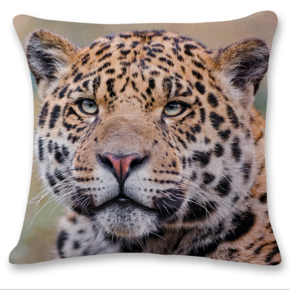 tiger 4