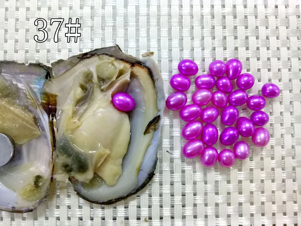 Красочные жемчуг риса в Akoya устрицы 6-7 мм риса пресноводного жемчуга Oyster В виде ракушки в вакууме Любовь Желание жемчуг abh616 - Цвет: 12