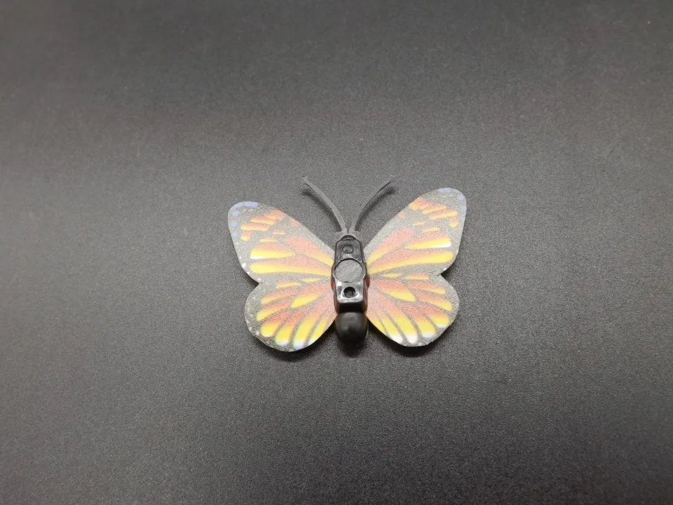I258-Butterfly (9)