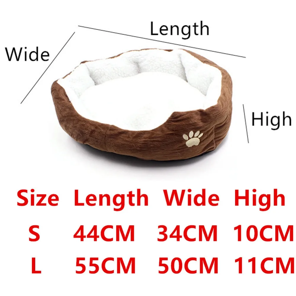 4545322278_1041227635