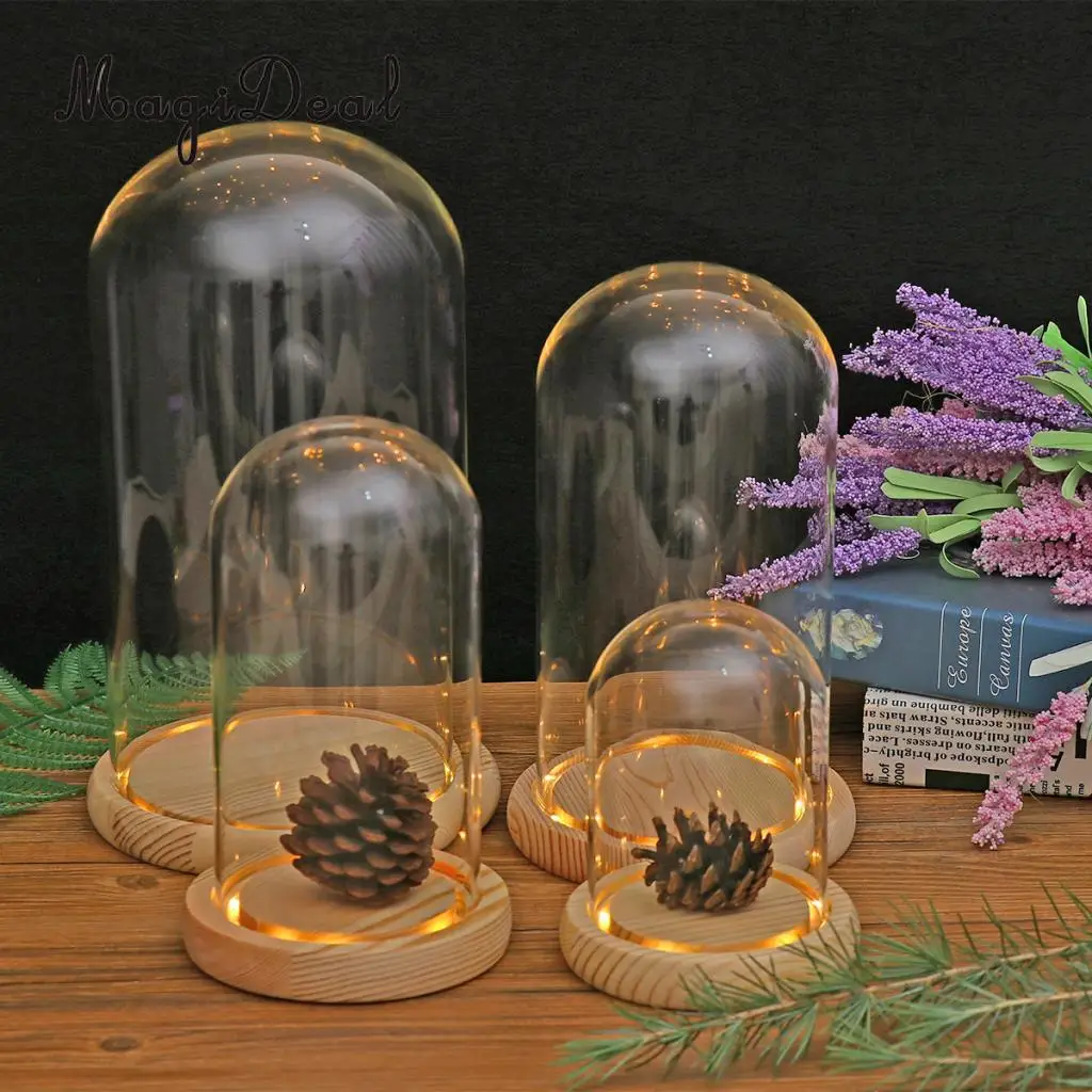 MagiDeal 	DIY Clear Glass Hemisphere Dislay Dome Cover Shade Cloche Oval With Cork Garden Decor Succulent Plants Vase Container