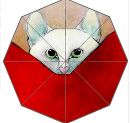 1 (17)