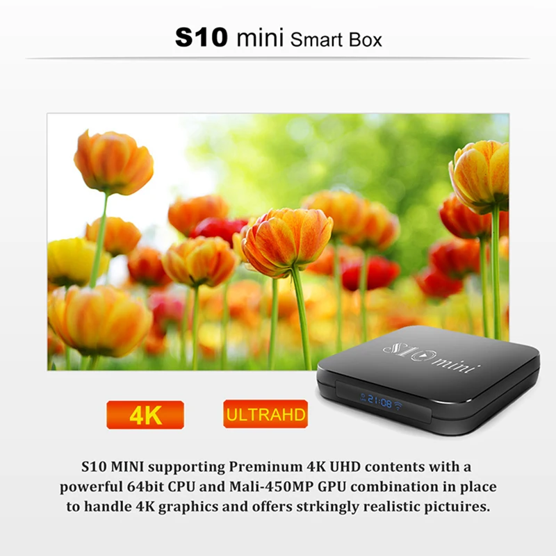 S10 MINI (6)