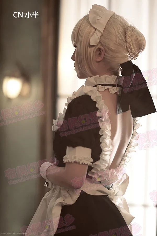 Fate Saber  coscosplay 260 (2)