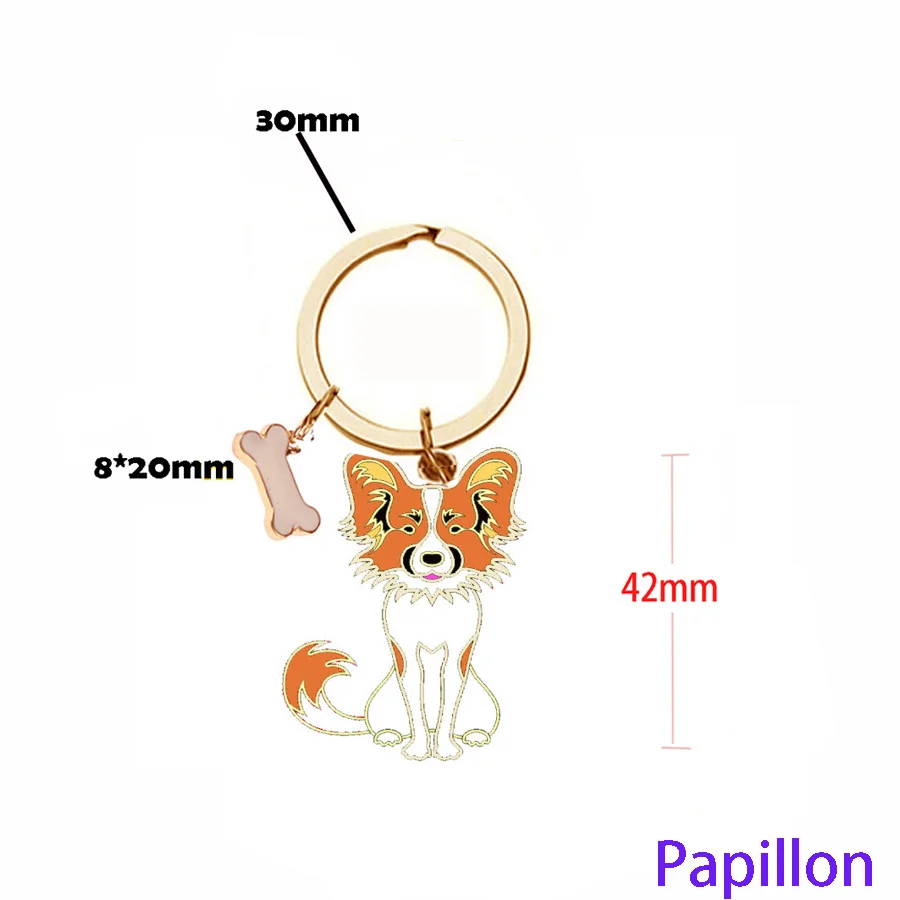 2345_image_file_copy_4