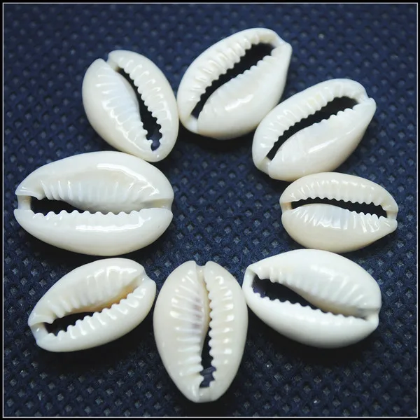 

100pcs nature shell beads mother of pearl snail phnom penh for clothes garments hat's making size 15-18mm