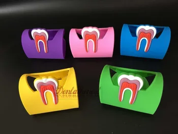 

5pcs Dental Teeth Tooth Name Card Holder Case Dentistry Rubber