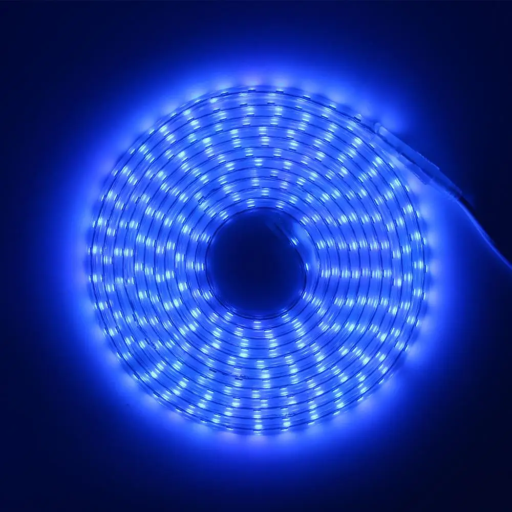 

5050 LED strip Waterproof tape AC 220V LED neon light 60 leds/M outdoor garden lighting with EU plug flexible LED strips lights