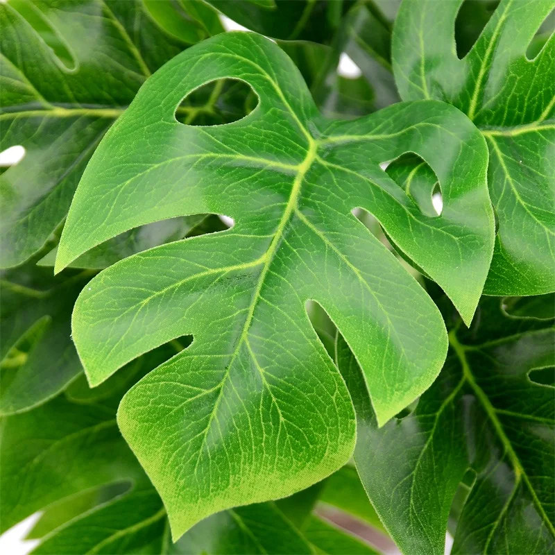 HTB1jNIzejgy_uJjSZKPq6yGlFXan