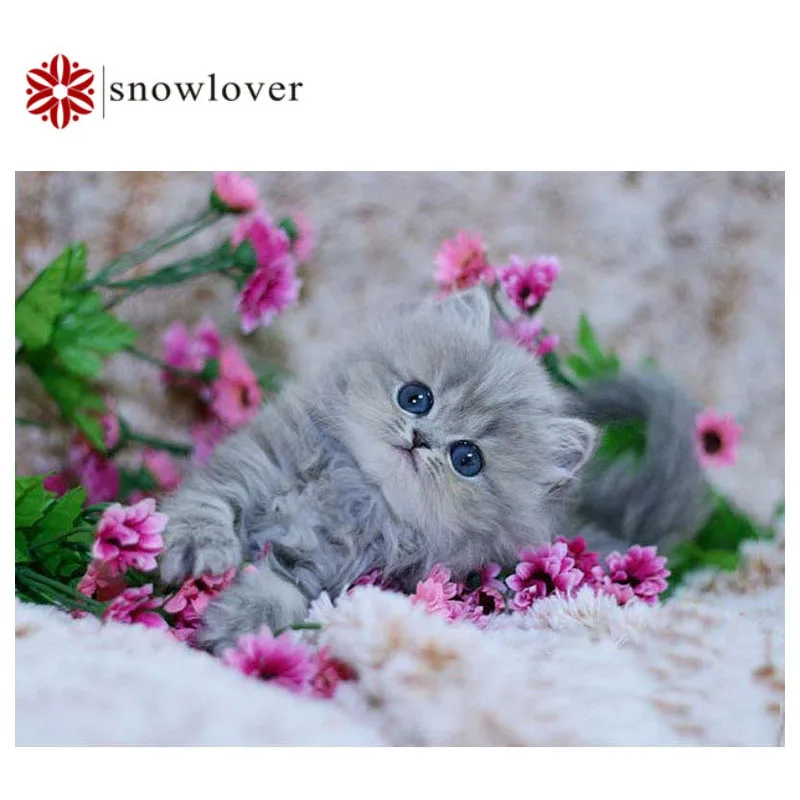 красивые котята. пушистые котята в цветах. картинки котиков. котята на рабочий стол. красивые котята.