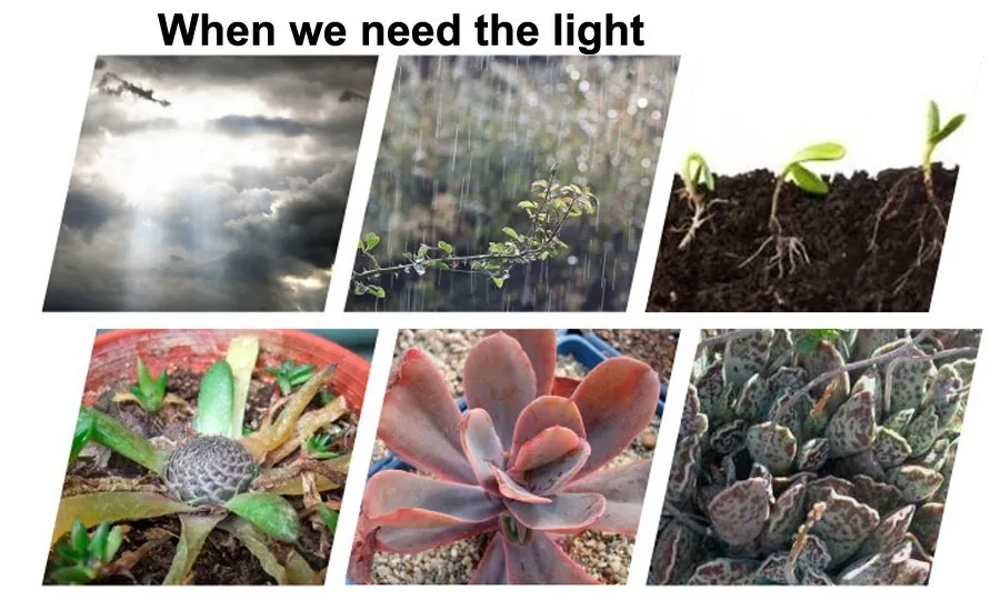 Светодиодный Grow Lights Full Spectrum лампа для длинных ростений красный синий 3:1 4:1 5:1 7:1 8:1 гидропоники apollo Фито Fitolampy для растения Семена