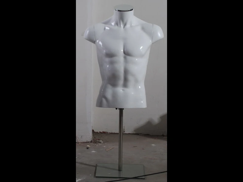 EMP-ZSSMT01  plastic torso mannequins