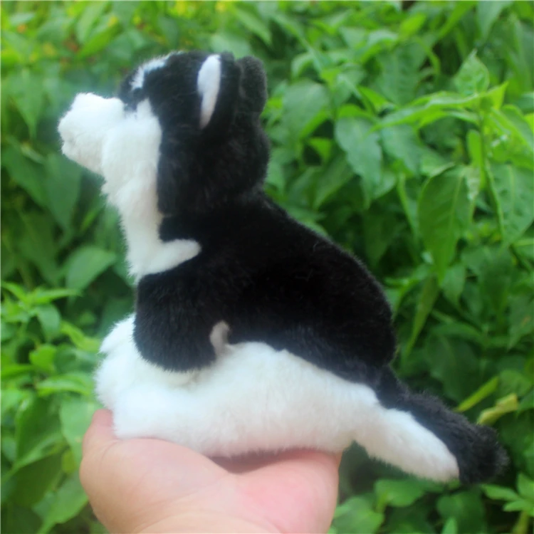 16 cm Peluche Husky simulación Peluche perro Peluche muñecas animales niños pequeños juguetes de regalo para niños, regalo personalizado Navidad 16 cm Peluche Husky simulación Peluche perro Peluche muñecas animales niños pequeños juguetes de regalo para niños, regalo personalizado Navidad