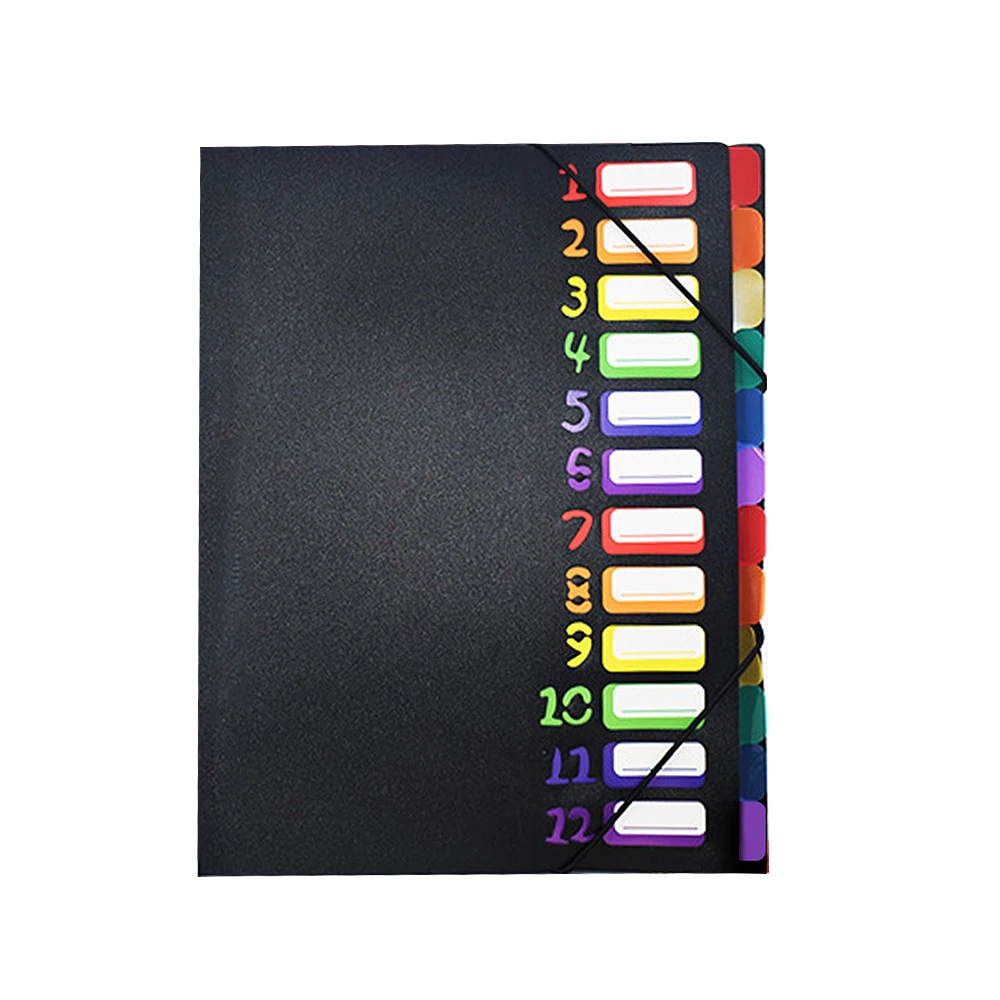 A4& 12 Pages File Folders Rainbow Document Holder Organizer with PP Material Slash Pockets Classified Storage Folders