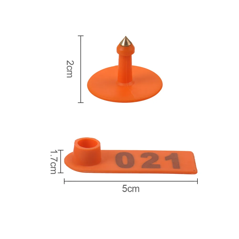 YW50-Orange (10)
