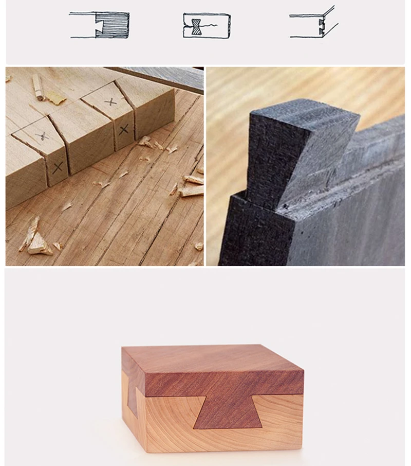 guia para cauda de andorinha, modelo para