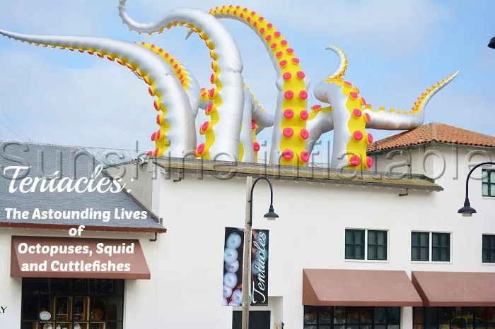 

New concept outdoor decorative giant silver color inflatable octopus tentacle 4mH free shipping