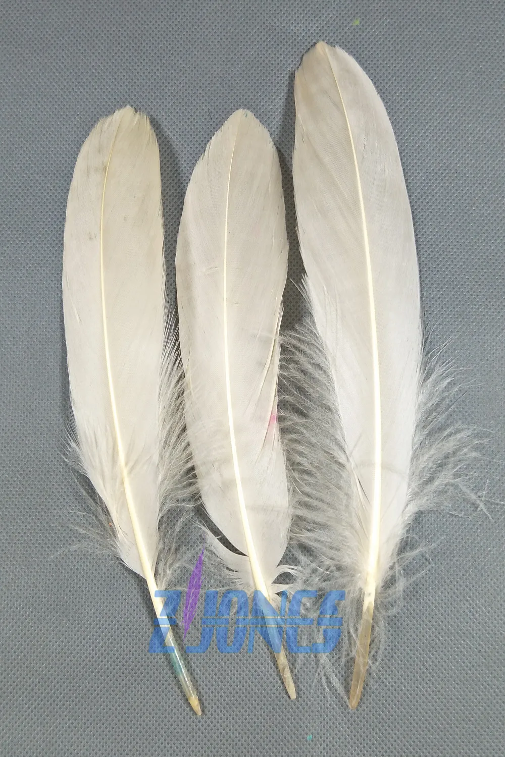 Download Natural Goose Feathers,100pcs/lot Champange Goose ...