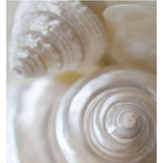Pearlesce I Poster Print by Christine Zalewski (13 x 19)