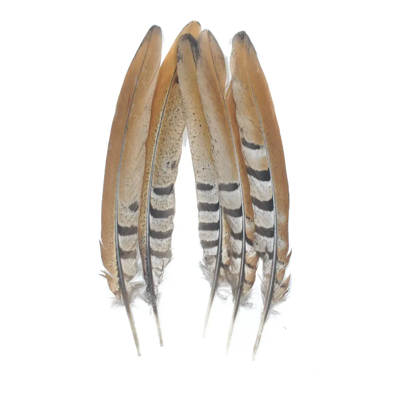 

ZPDECOR Wholesale 15-20CM 6-8 Inch Natural Reeves Venery Pheasant Tail Feathers For carnival design DIY decor natural plume