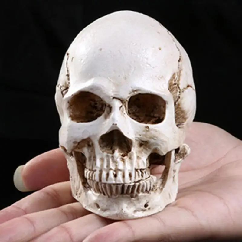 Human Head Replica Resin Divided 3D Skull Mould for Halloweeen Decoration DIY Party Haunted Halloween Skull House Supplies