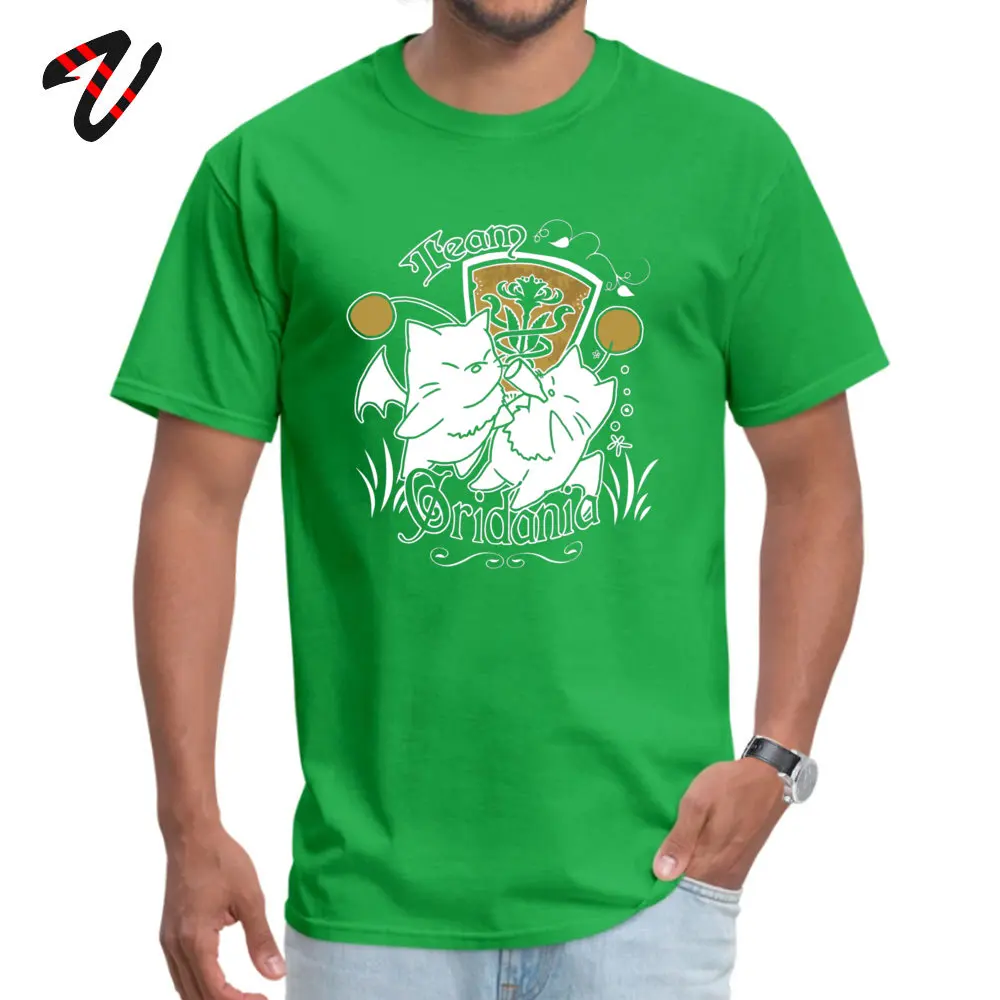 Team Gridania Moogles Casual T Shirt for Men 100% Cotton VALENTINE DAY T Shirt Tops T Shirt Short Sleeve Prevailing Round Neck Team Gridania Moogles 13349 green