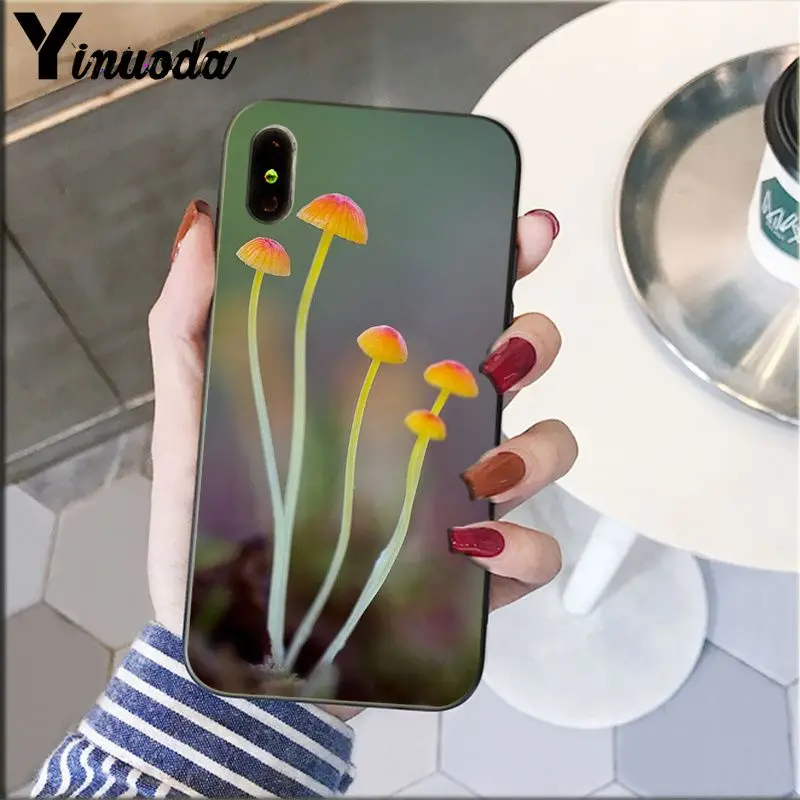 Cute plant mushroom