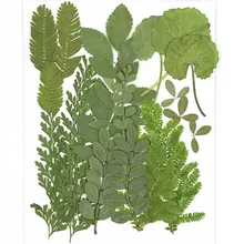 Последние листья сочетание спрессованные цветы сушеные цветы для DIY украшения 5 мешков/105 шт листья