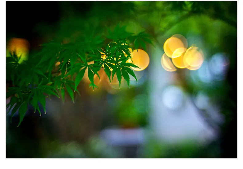 50mm-F1_05