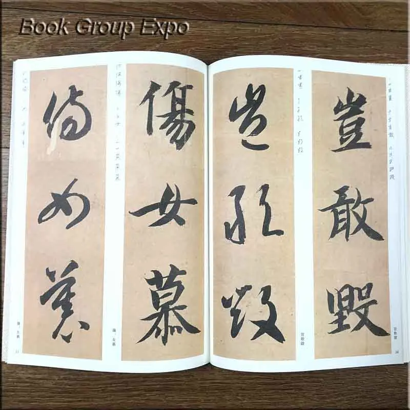 O1CN01bHHGuR1yxSNcoKN0X_!!2200738556645副本