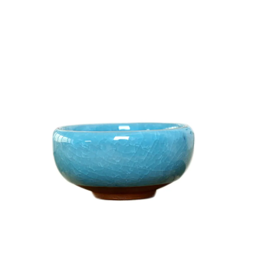 

Bonsai Ceramic Flower Pot Succulent Plants Potted Desk Decor Glazed Ceramic Pot