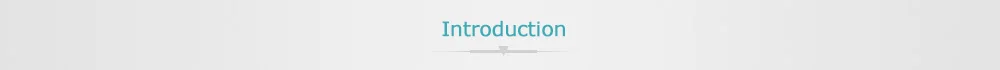 Introduction