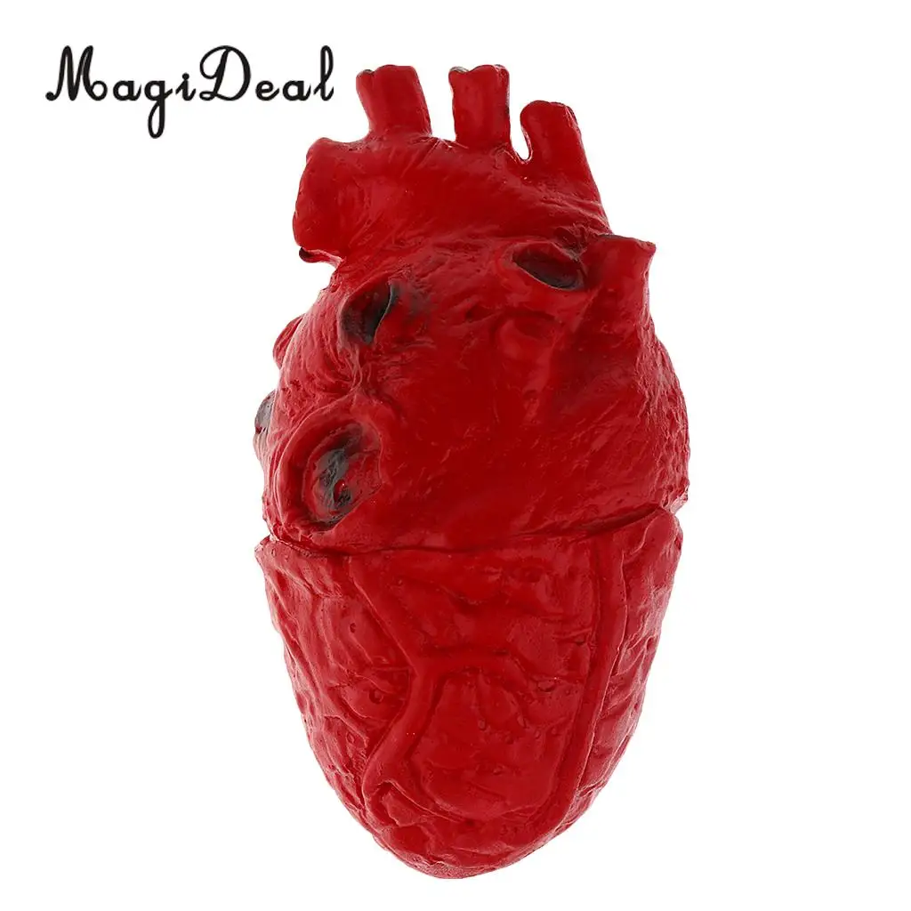 Lifelike Human Heart Model-Chop Shop Body Part Organ Halloween Horror Prop Decorations School Lab Supplies Student Toy 16cm